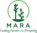 Asset 1MARA